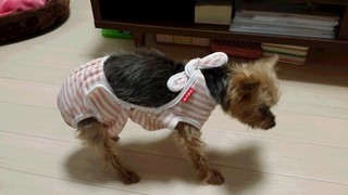 20151219_202958.jpg