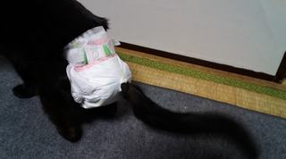 20170219_170106-min.jpg