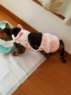 20171129082127.jpg