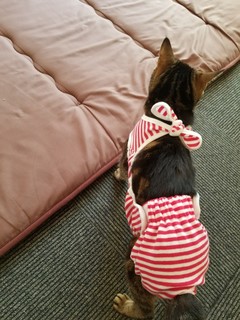 20171203_115753-756x1008.jpg