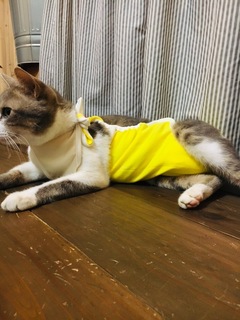5F267B95-2CF2-45E4-AA0D-1B99D960F1E0.jpeg