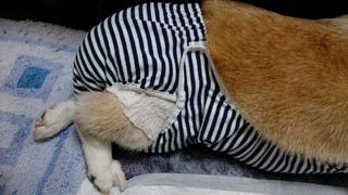 DSC_0192.JPG