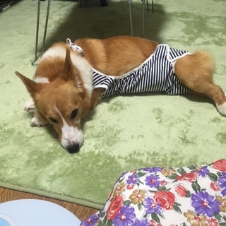 中!cid_1E057BC6-7A6C-4F6F-9482-07D37415FD12.jpg