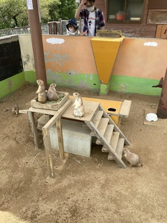IMG_0062.JPG