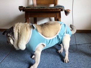 IMG_1083.jpeg