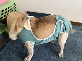 IMG_1093.jpeg