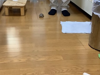 IMG_1309.jpg