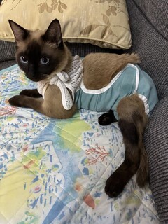 IMG_3330.jpeg