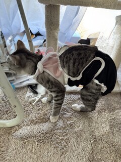 IMG_6326.jpeg