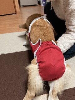 IMG_6852.jpeg