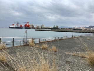 IMG_7015.jpg