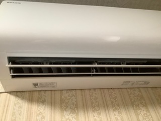 IMG_7350.jpg