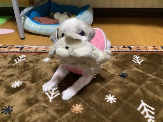 IMG_7361.jpg