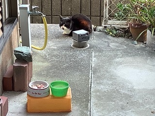 IMG_8869.jpg