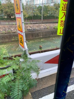 image1.jpeg
