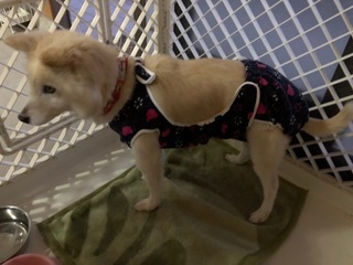 image1.jpeg
