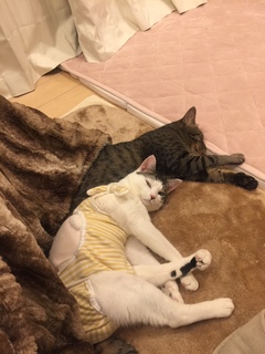 image1.jpeg