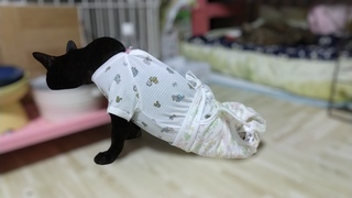 image1.jpeg