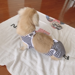 image1.jpeg