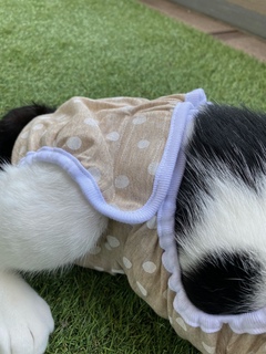 image2.jpeg