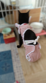 image2.png