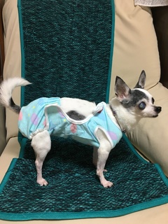 image2.jpeg