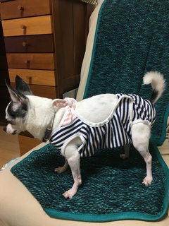 image5.jpeg