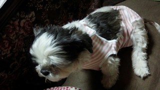 momo3.26-1.jpg