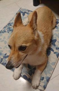 rps20200904_075406.JPG